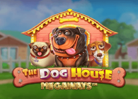 dog house megaways
